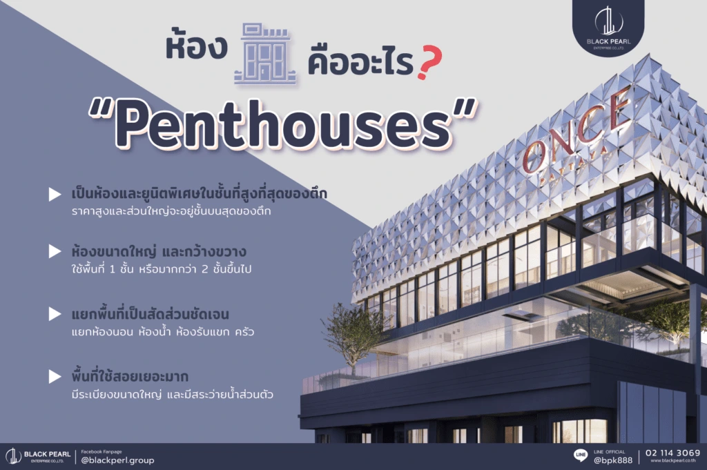 penthouse คือ