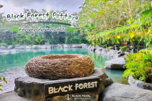 Black Forest Pattaya